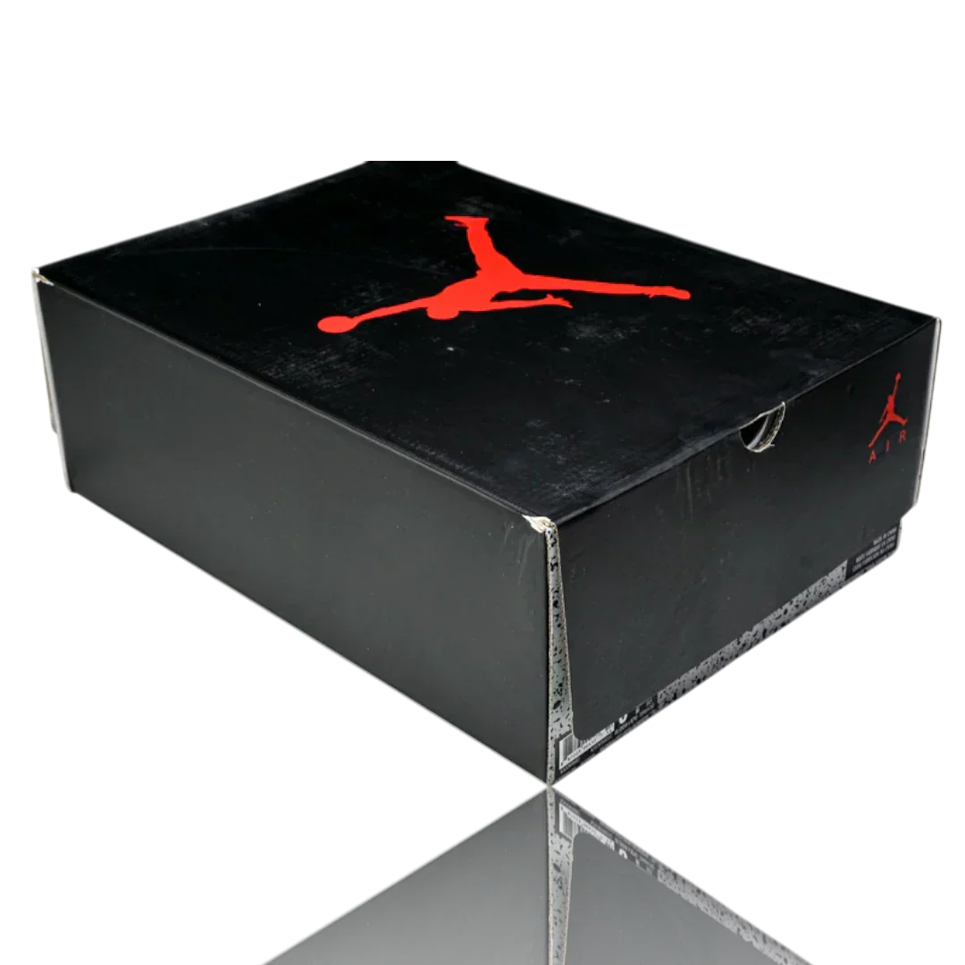 AJ6 Retro 'Black Infrared' (2019)
