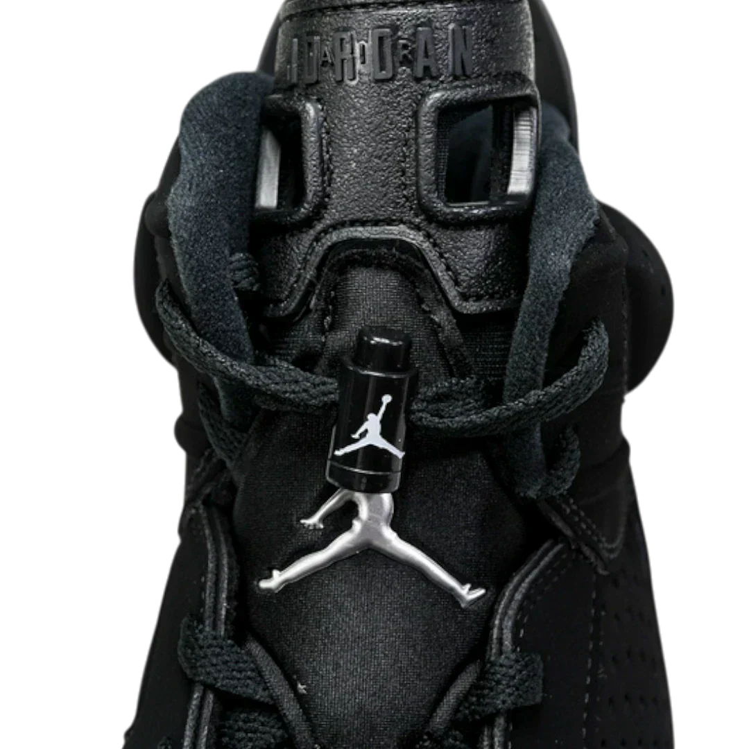 AJ6 Retro 'Chrome'