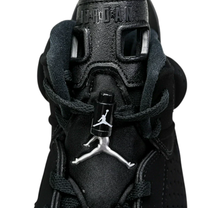AJ6 Retro 'Chrome'