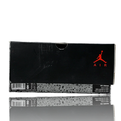 AJ6 Retro 'Black Infrared' (2019)